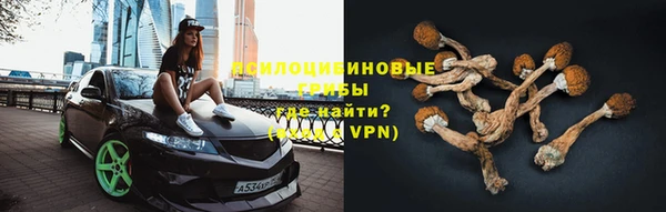 спайс Рославль