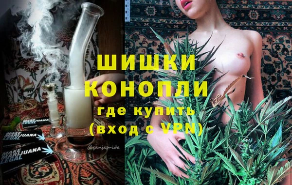 гашик Алексин