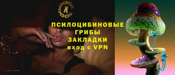 гашик Алексин