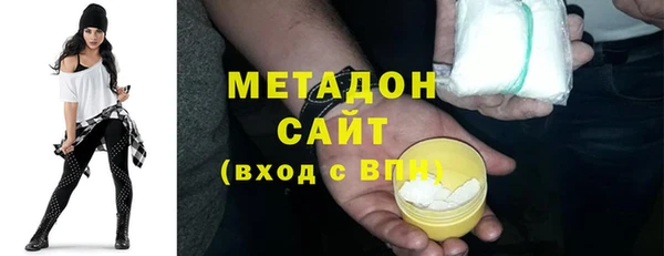 гашик Алексин