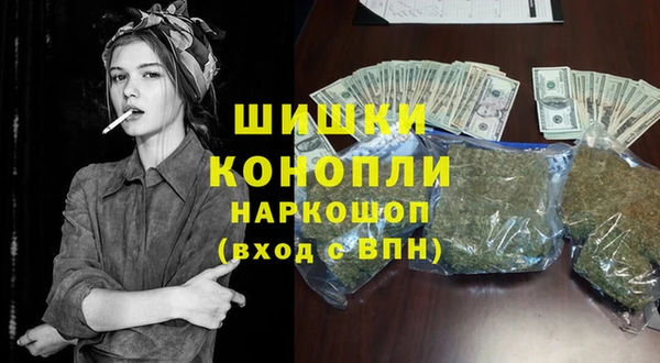 гашик Алексин