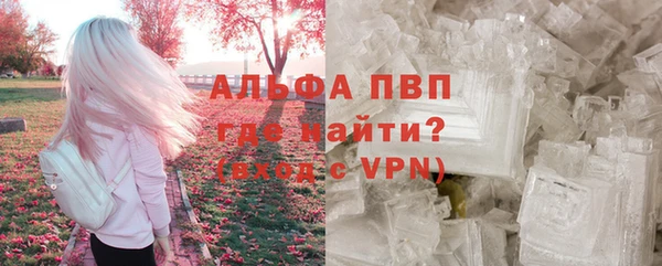гашик Алексин