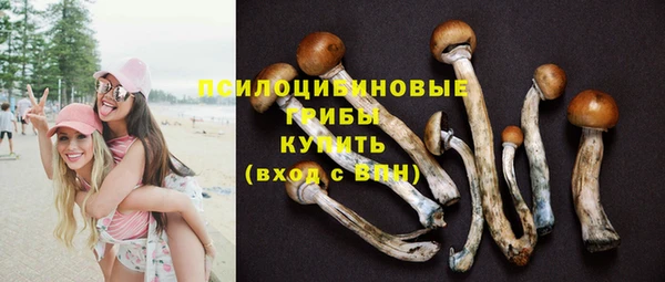 гидропоника Аркадак