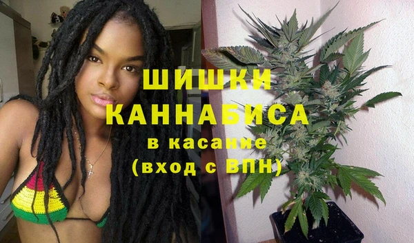 крисы Армянск