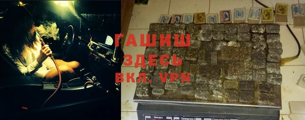 гашик Алексин